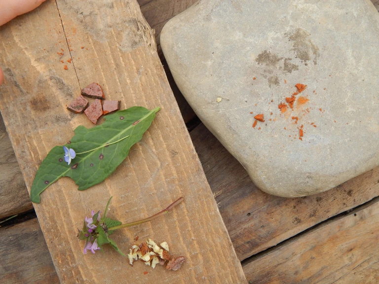 ISCRIZIONI AL NIDO IL CAVALLINO A DONDOLO a.e. 2026/2027